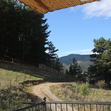 Velia Guesthouse Калаврита Экстерьер фото